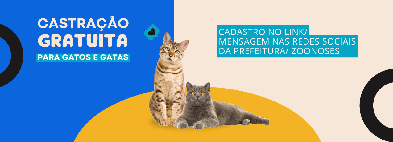 Castração de gatos já pode ser agendada online