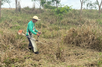 Prefeitura inicia roçagem e capinação em área de APP ao lado do Distrito Industrial 
