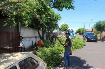 A Prefeitura Municipal de Flora Rica realiza poda das árvores no entorno do perímetro urbano