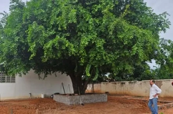   Escola Estadual inicia construção de laboratório de Física e Química ao ar livre