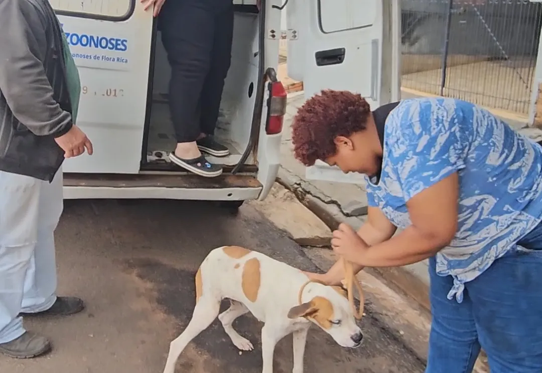 Abandono de animais é crime!