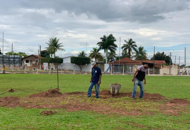 A Prefeitura de Flora Rica realiza manutenção no gramado do Campo Municipal 
