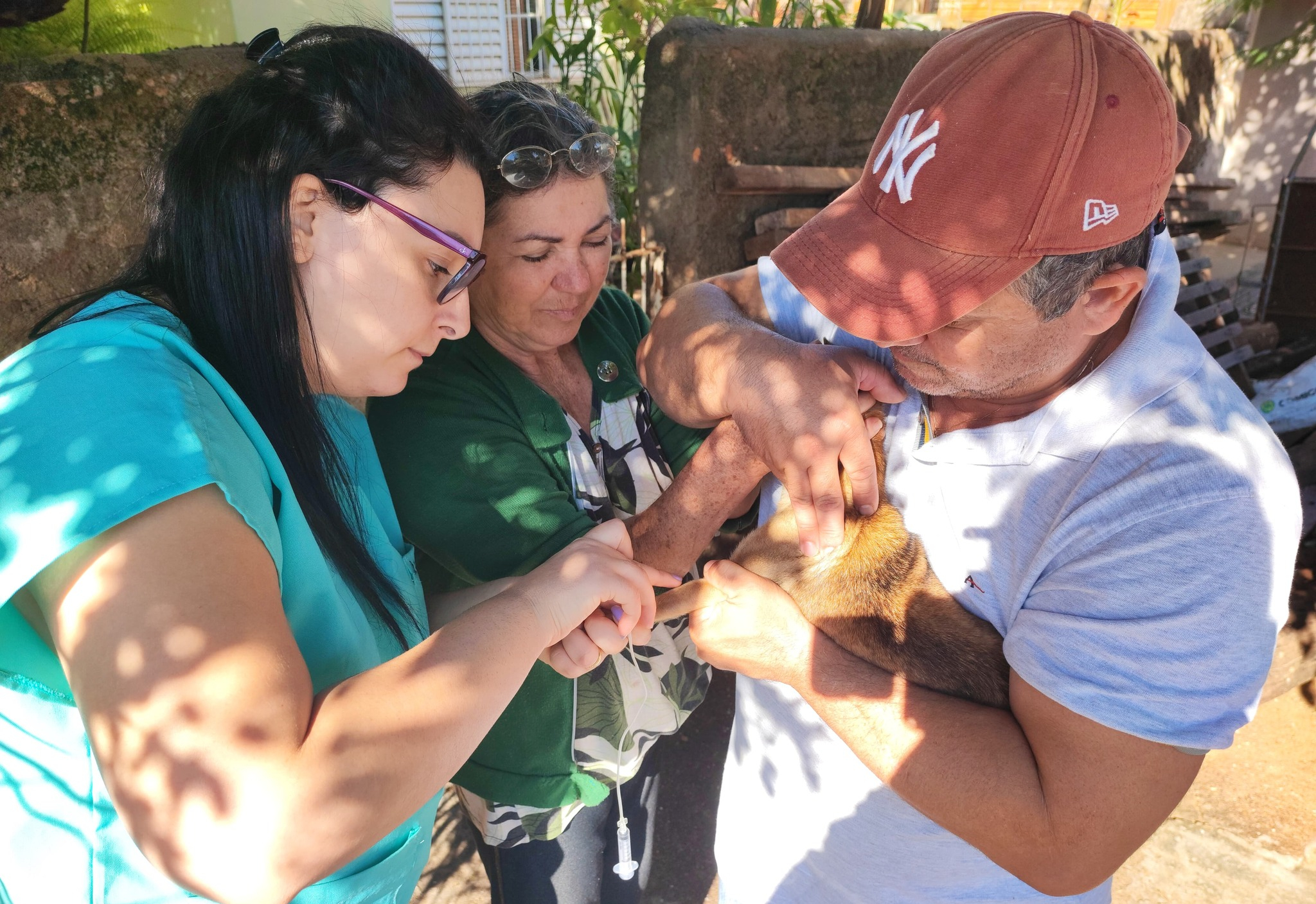 Controle de Zoonoses realiza testes e vacinação domiciliar em cães para prevenção de doenças