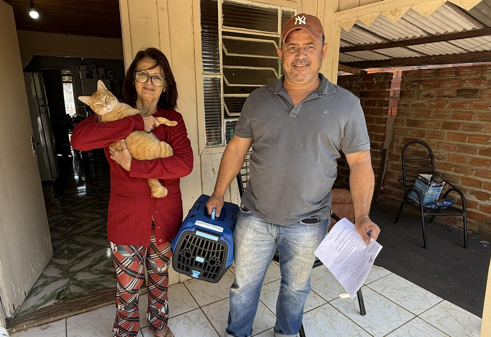 Prefeitura inicia castração de gatos em parceria com a FAI